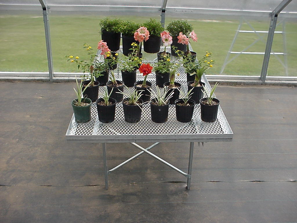 6' x 12' Portable Bench with retaining lip and expanded metal top