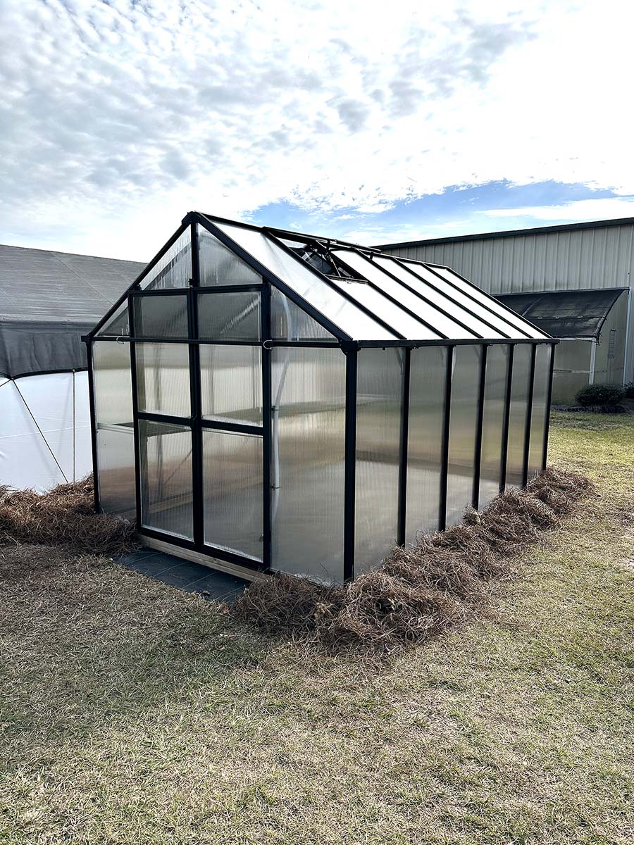 8' x 12' Evergreen Residential Greenhouse – Atlas Greenhouse 8' x 12' Evergreen Residential Greenhouse – Atlas Greenhouse