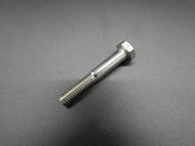 5/16" x 2" SS Bolt Only